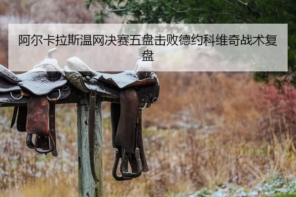 a-er-ka-la-si-wen-wang-jue-sai-wu-pan-ji-bai-de-yue-ke-wei-qi-zhan-shu-fu-pan-2-861.jpg